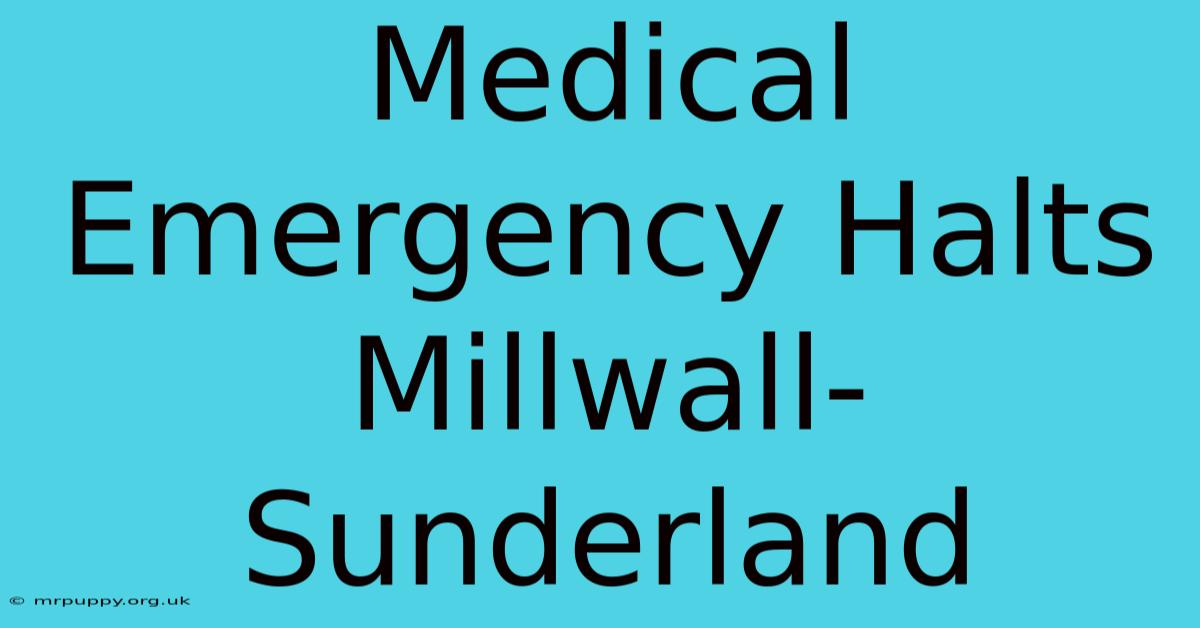 Medical Emergency Halts Millwall-Sunderland