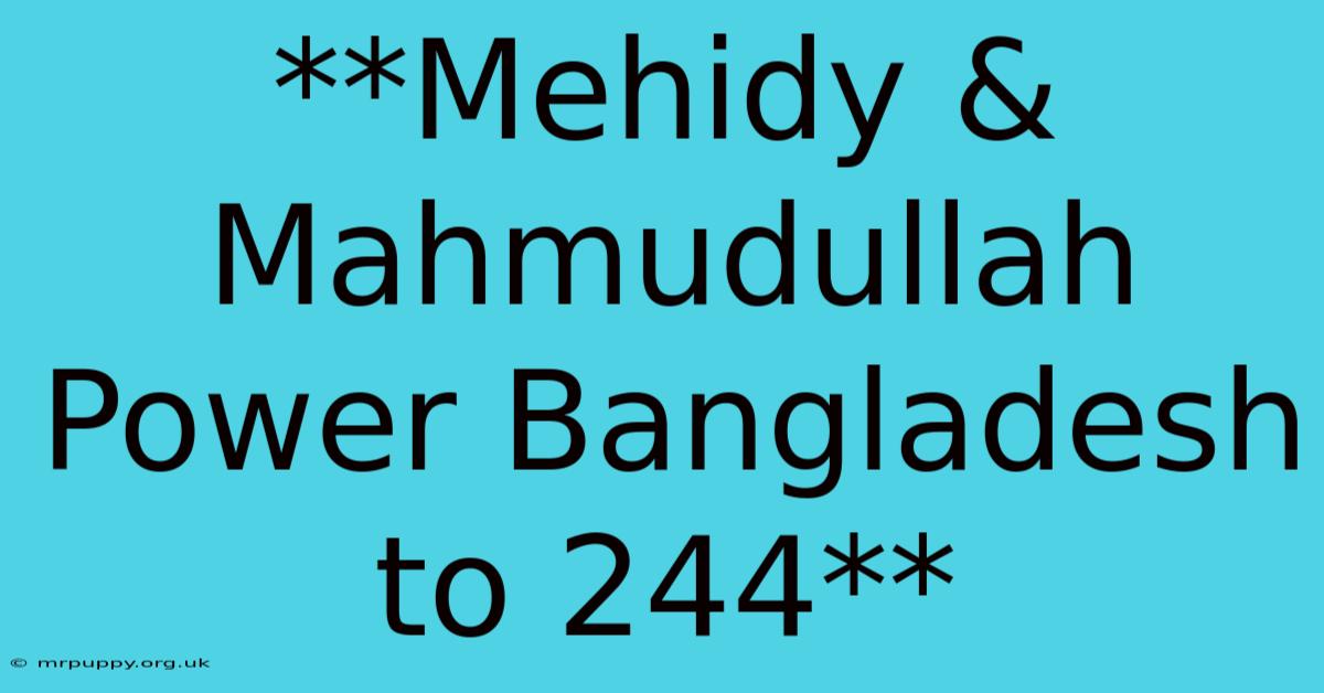 **Mehidy & Mahmudullah Power Bangladesh To 244** 