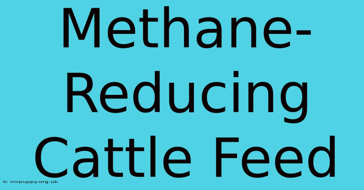 Methane-Reducing Cattle Feed