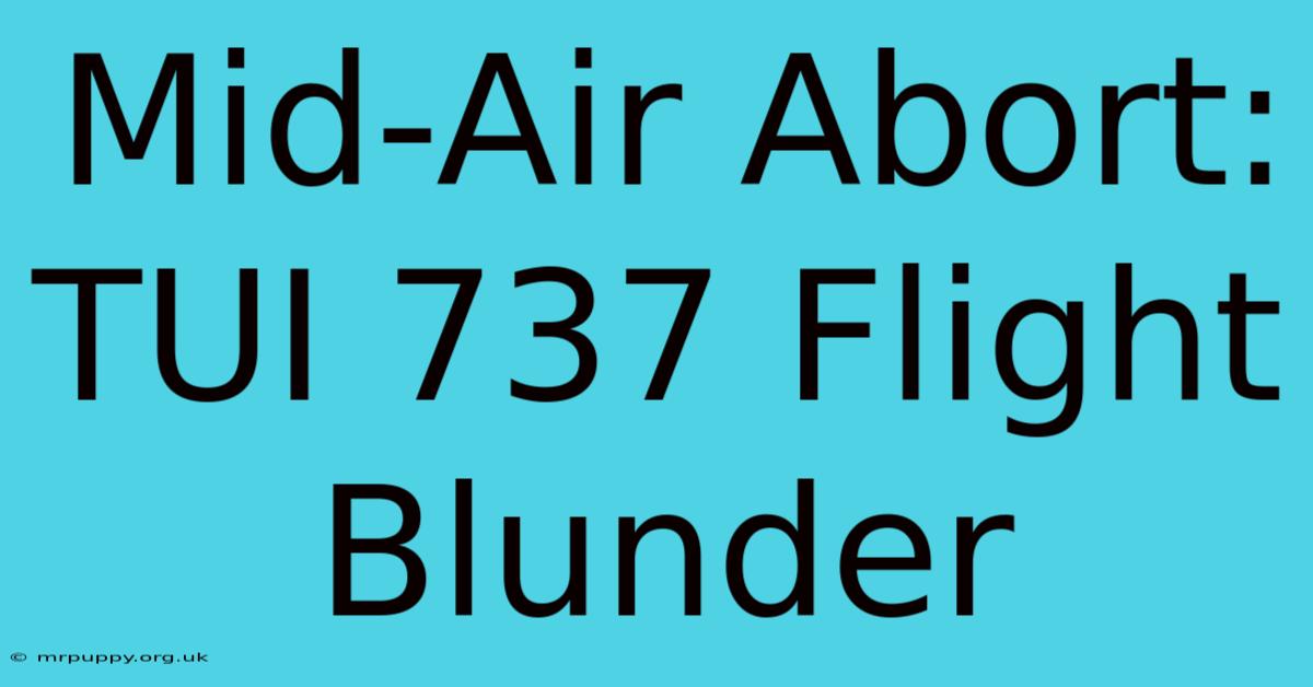 Mid-Air Abort: TUI 737 Flight Blunder