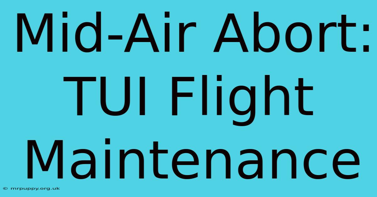 Mid-Air Abort: TUI Flight Maintenance