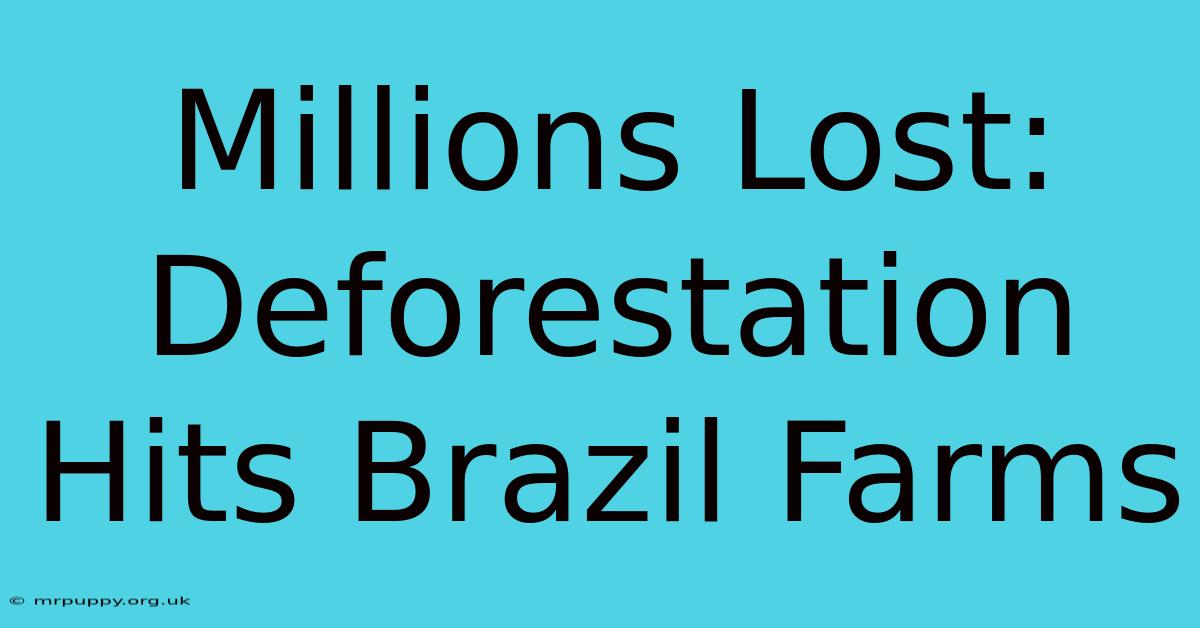 Millions Lost: Deforestation Hits Brazil Farms