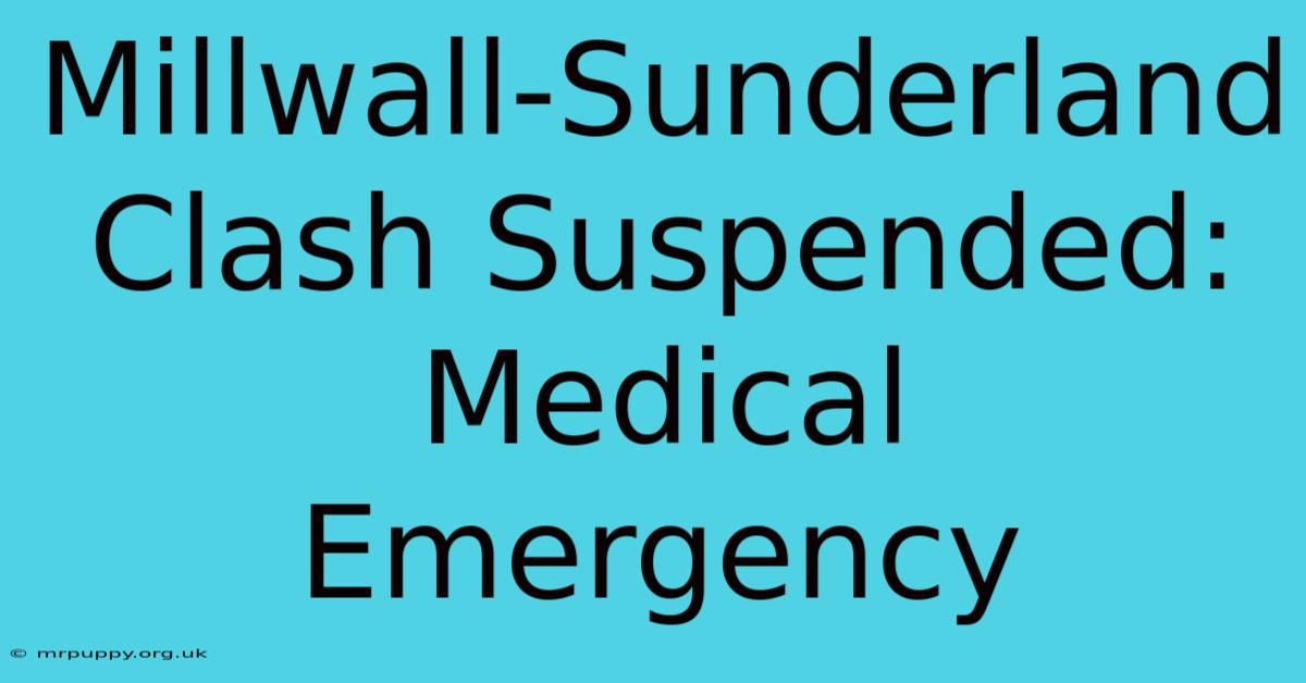 Millwall-Sunderland Clash Suspended: Medical Emergency