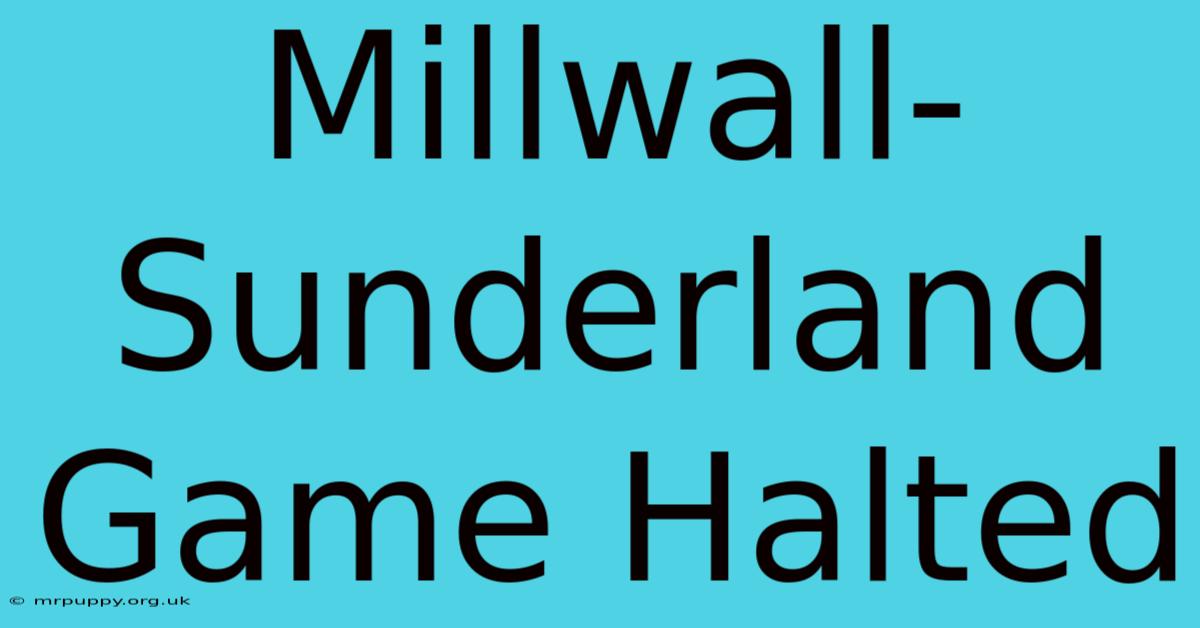 Millwall-Sunderland Game Halted