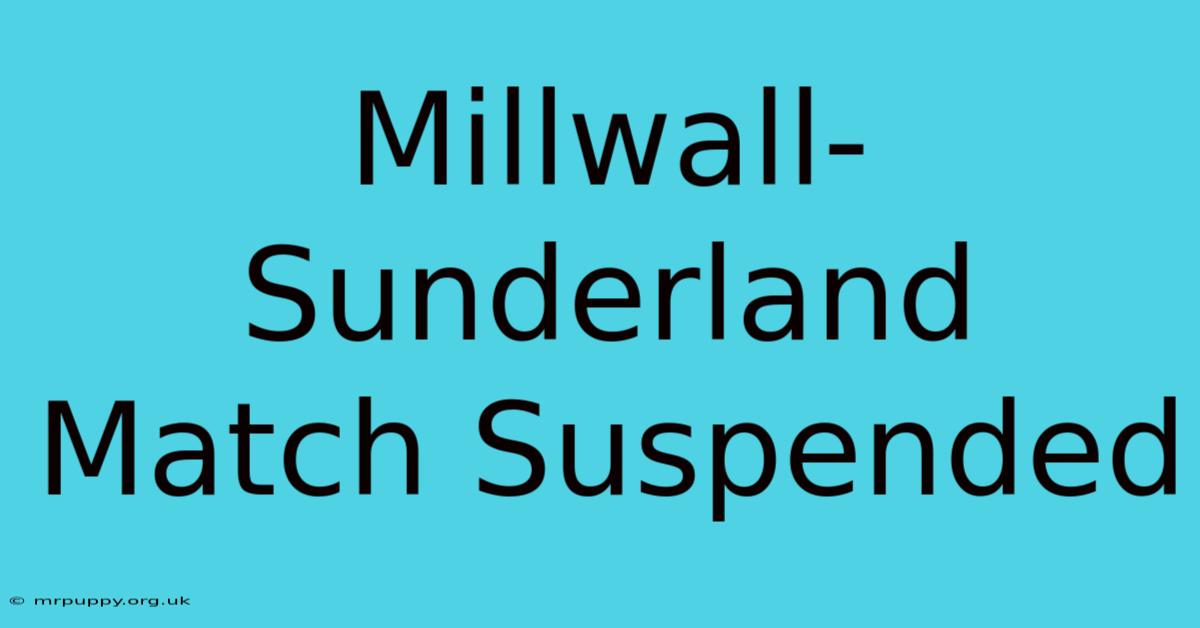 Millwall-Sunderland Match Suspended