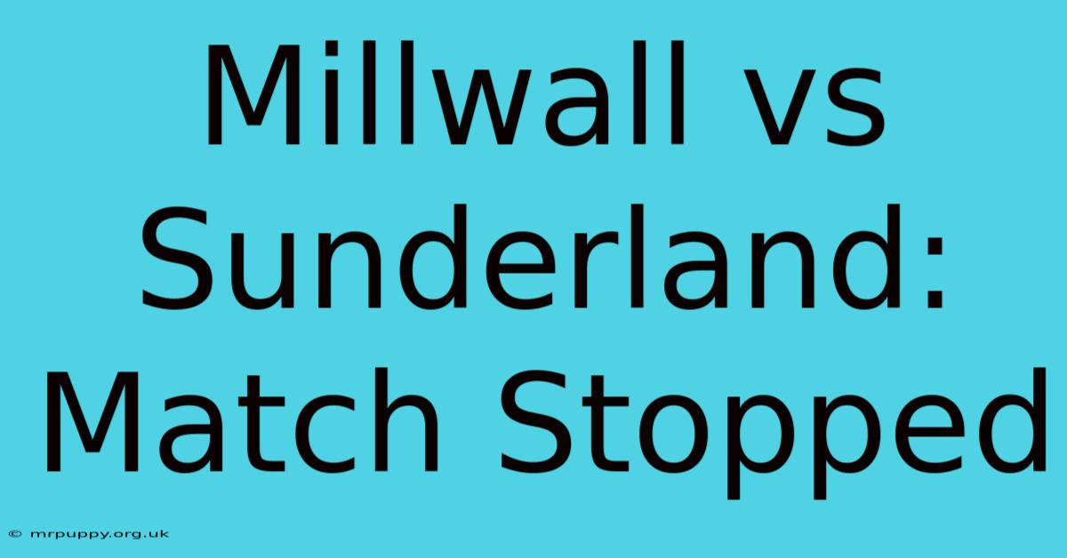 Millwall Vs Sunderland: Match Stopped