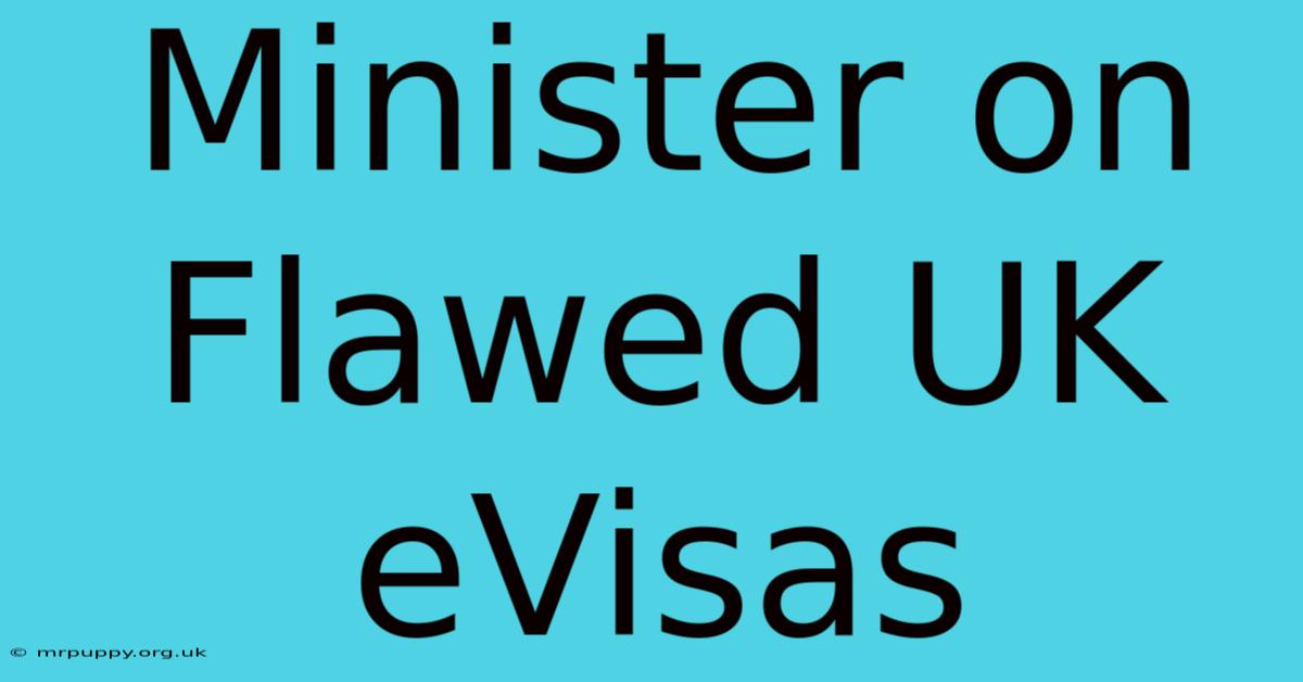 Minister On Flawed UK EVisas