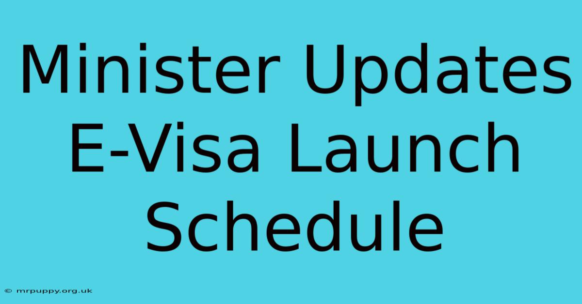 Minister Updates E-Visa Launch Schedule