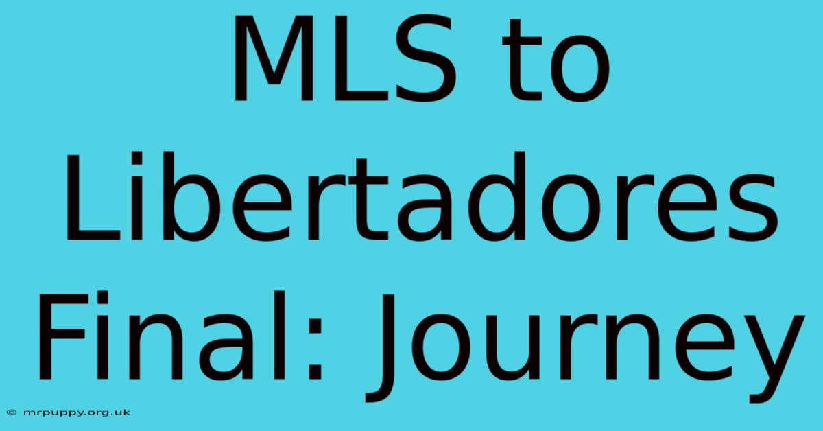 MLS To Libertadores Final: Journey