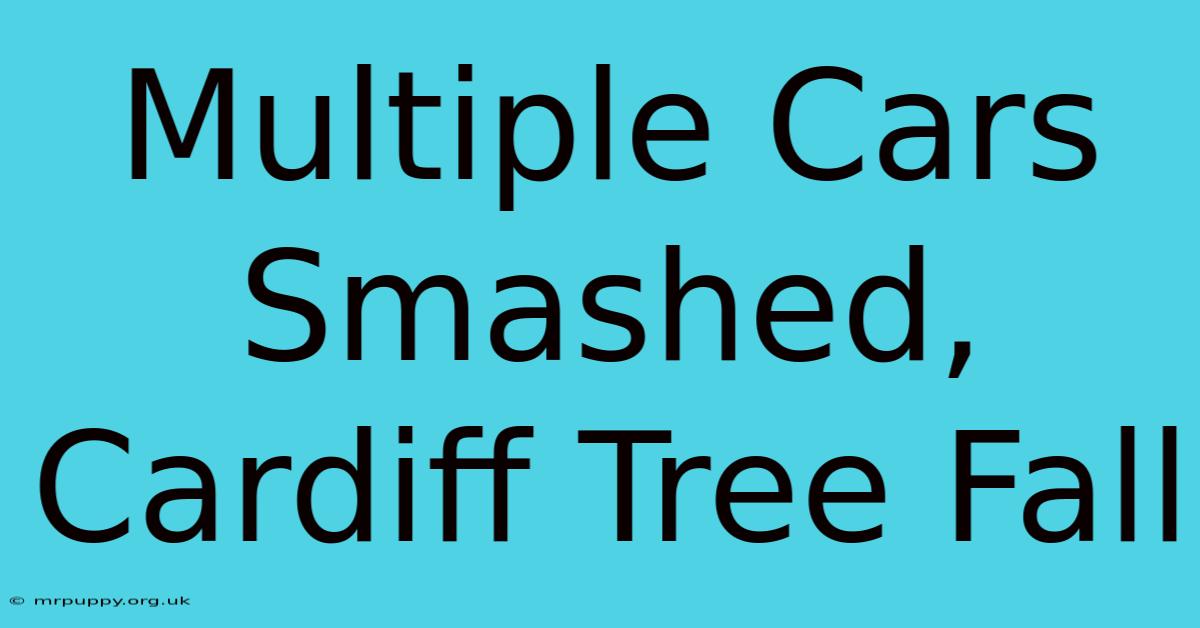 Multiple Cars Smashed, Cardiff Tree Fall