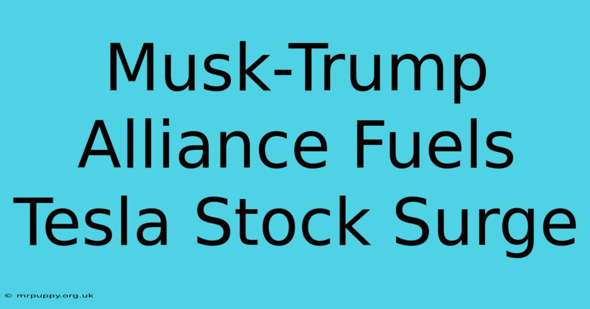 Musk-Trump Alliance Fuels Tesla Stock Surge 