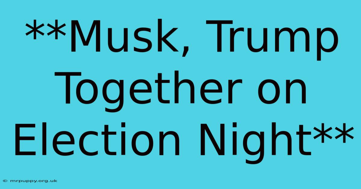 **Musk, Trump Together On Election Night**