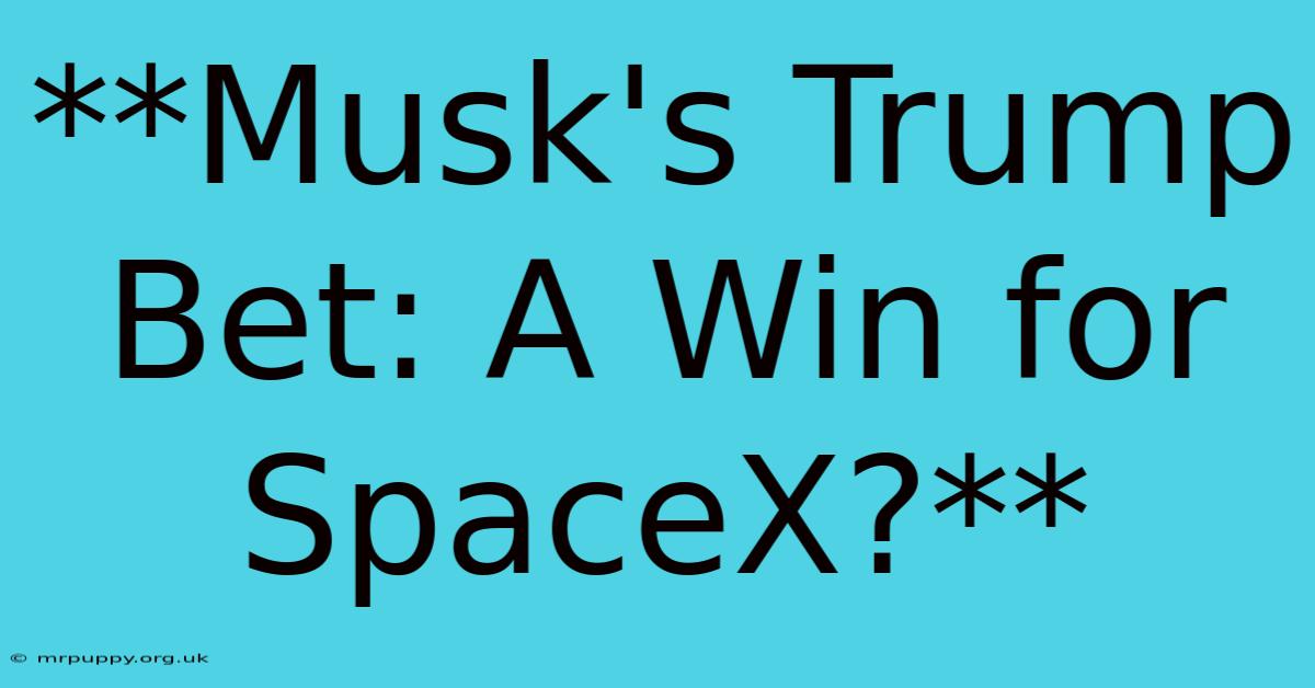 **Musk's Trump Bet: A Win For SpaceX?**