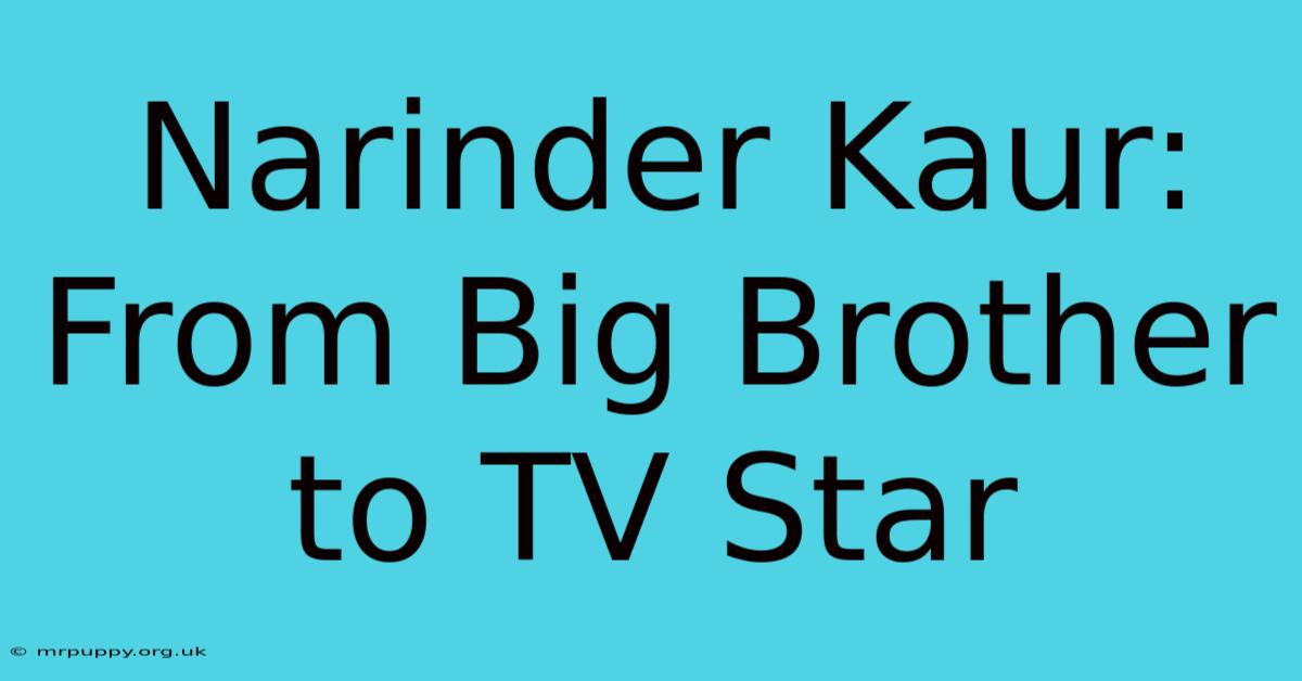 Narinder Kaur: From Big Brother To TV Star