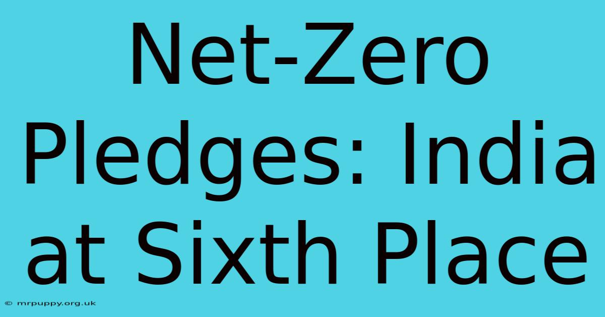 Net-Zero Pledges: India At Sixth Place