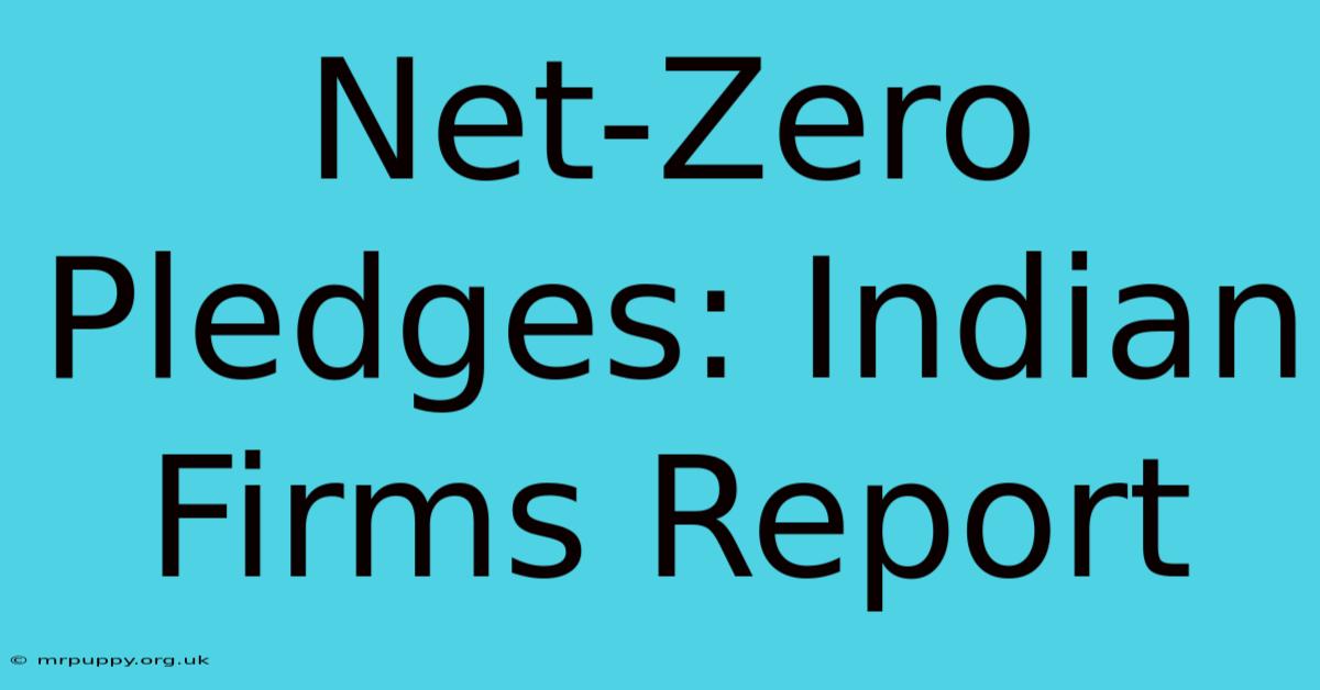 Net-Zero Pledges: Indian Firms Report