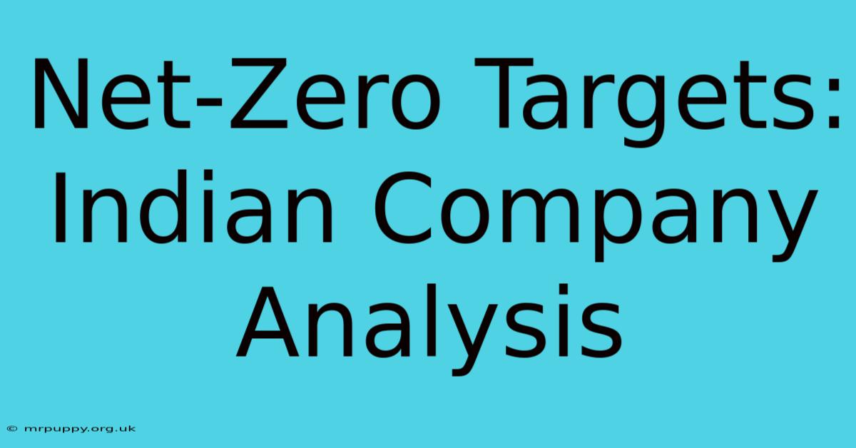 Net-Zero Targets: Indian Company Analysis