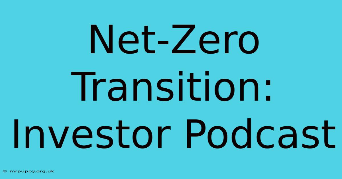 Net-Zero Transition: Investor Podcast