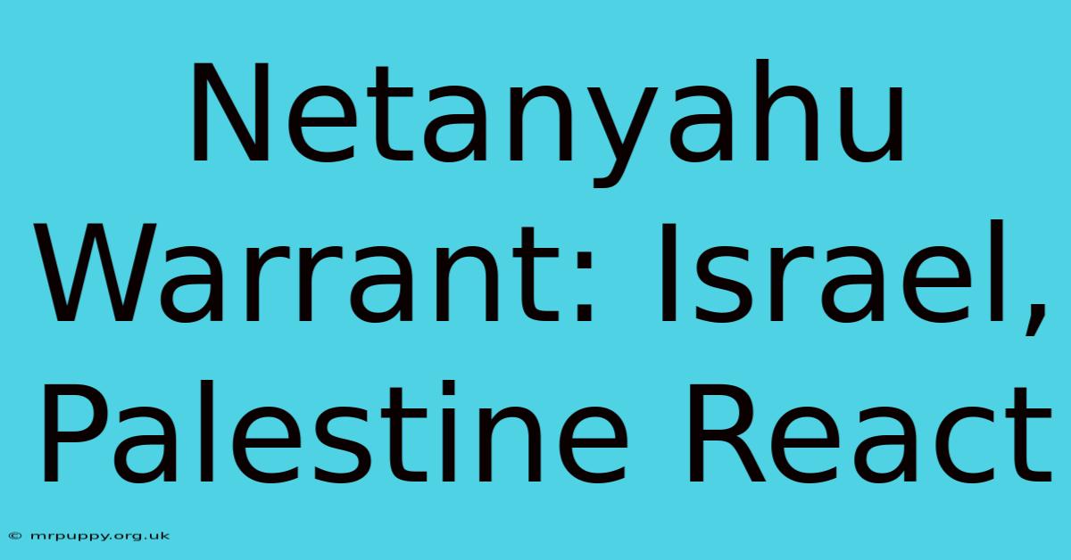 Netanyahu Warrant: Israel, Palestine React