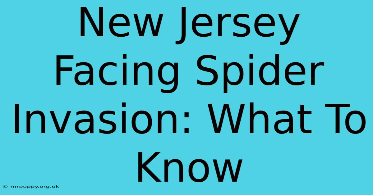 New Jersey Facing Spider Invasion: What To Know