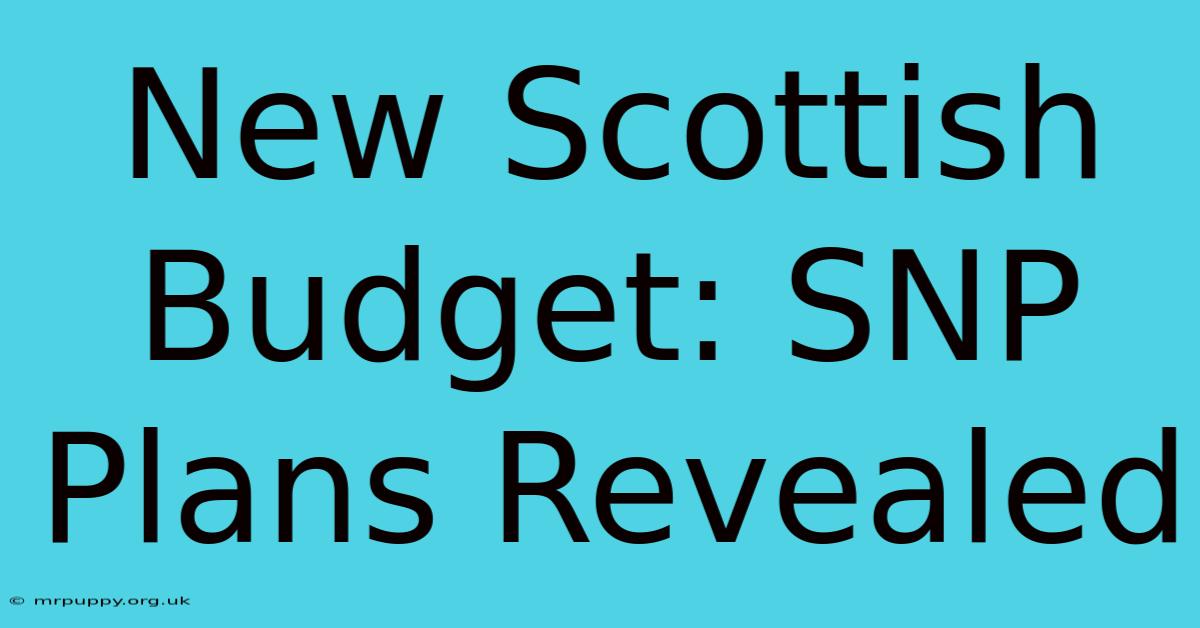 New Scottish Budget: SNP Plans Revealed