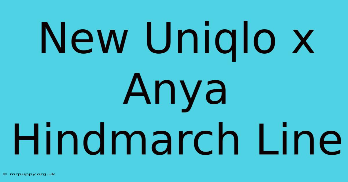 New Uniqlo X Anya Hindmarch Line