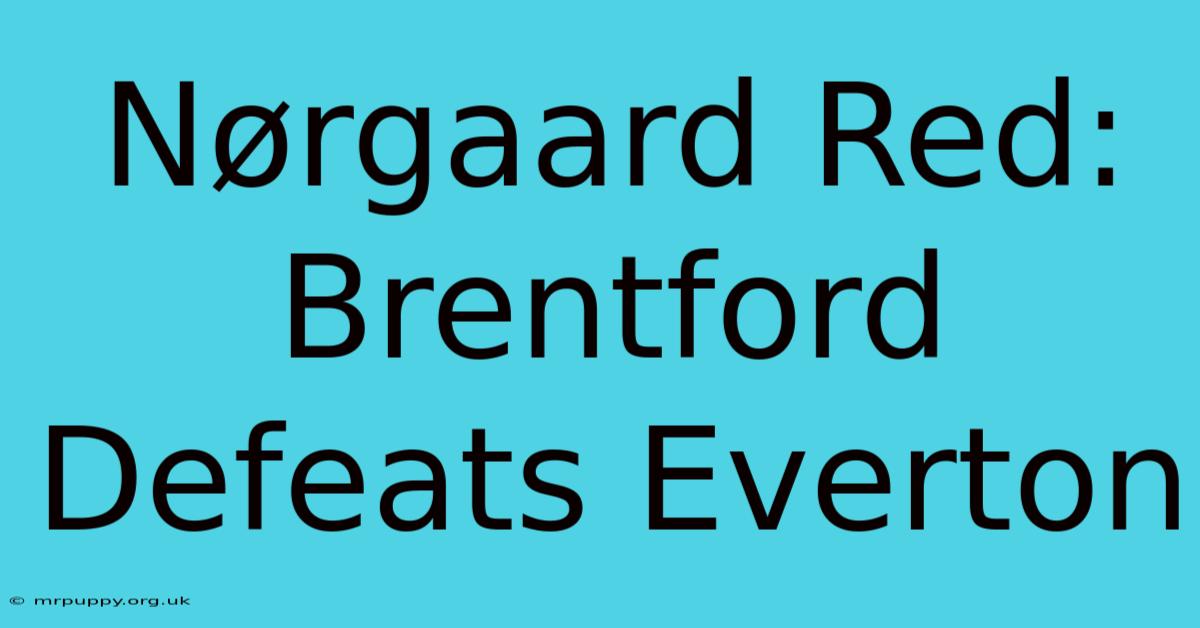 Nørgaard Red: Brentford Defeats Everton