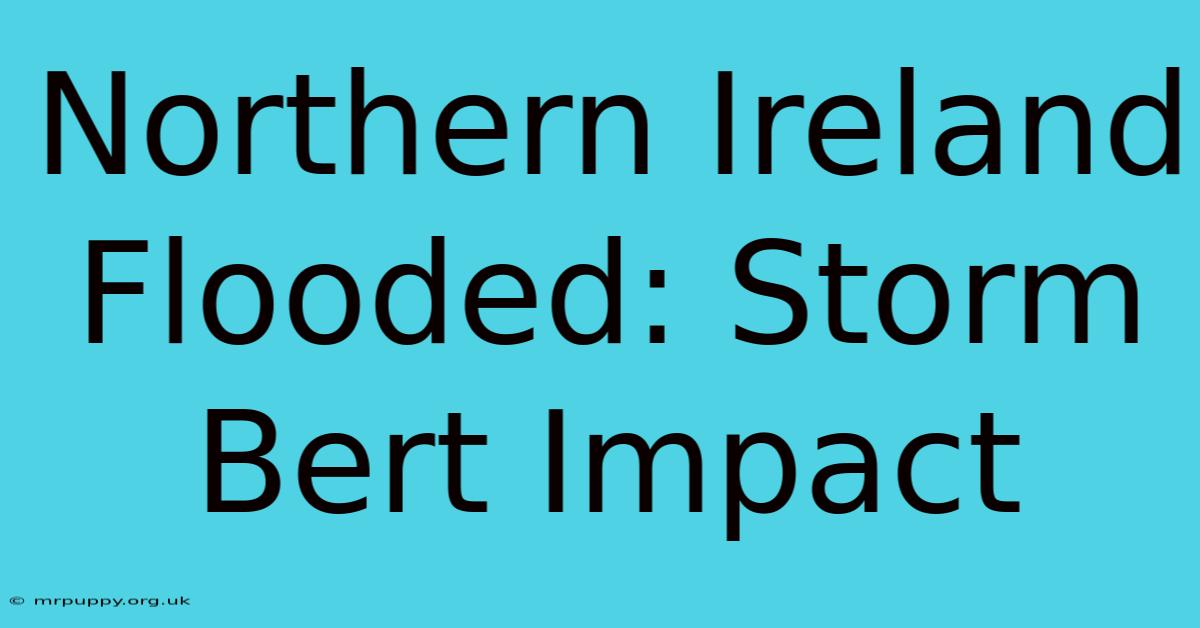 Northern Ireland Flooded: Storm Bert Impact