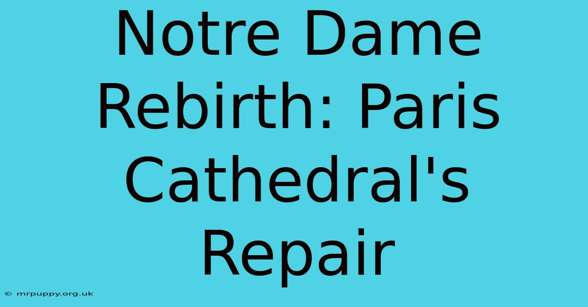 Notre Dame Rebirth: Paris Cathedral's Repair