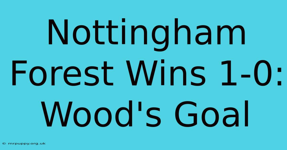 Nottingham Forest Wins 1-0: Wood's Goal