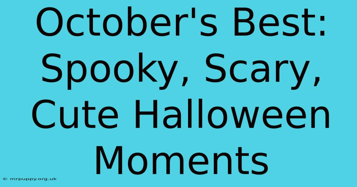 October's Best: Spooky, Scary, Cute Halloween Moments 