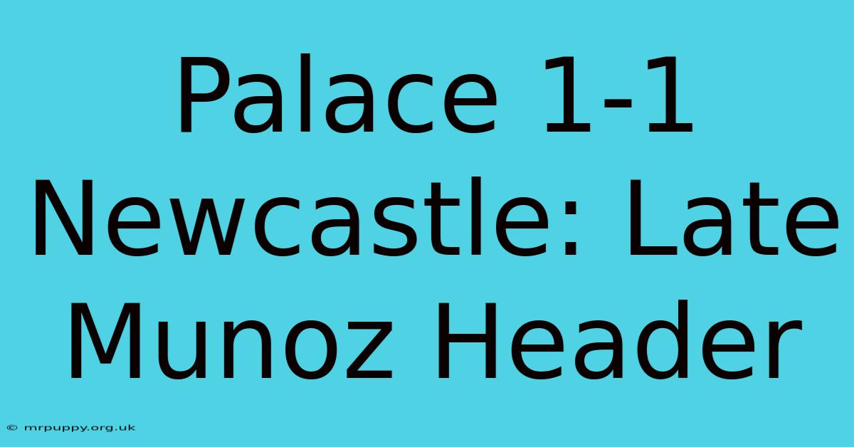 Palace 1-1 Newcastle: Late Munoz Header