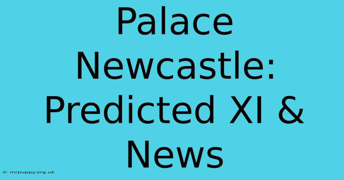 Palace Newcastle: Predicted XI & News