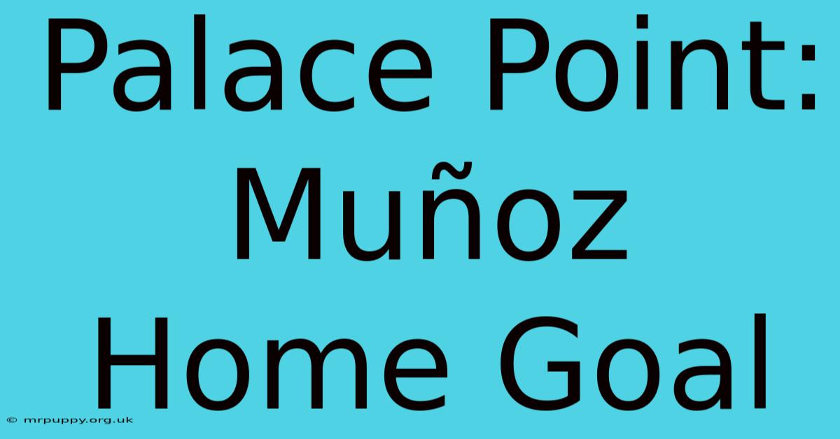 Palace Point: Muñoz Home Goal