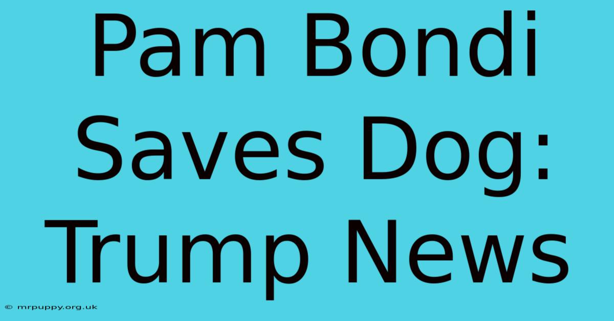 Pam Bondi Saves Dog: Trump News