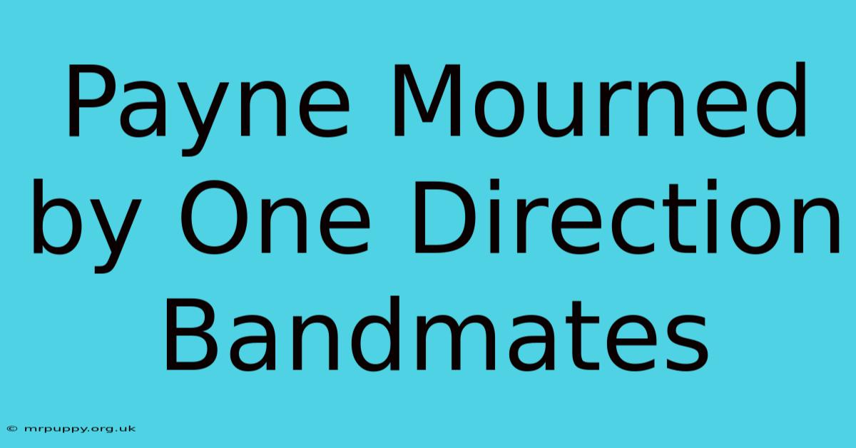 Payne Mourned By One Direction Bandmates