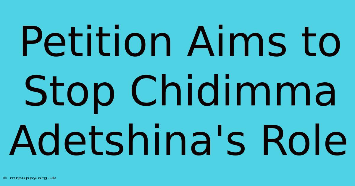 Petition Aims To Stop Chidimma Adetshina's Role