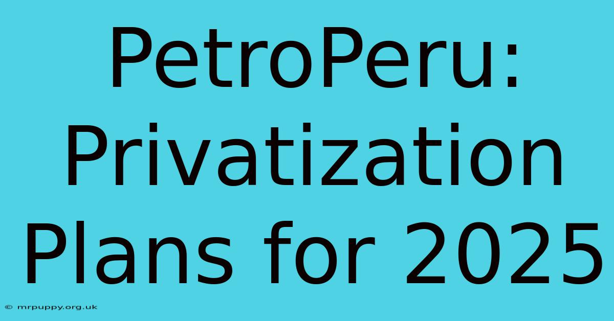 PetroPeru: Privatization Plans For 2025