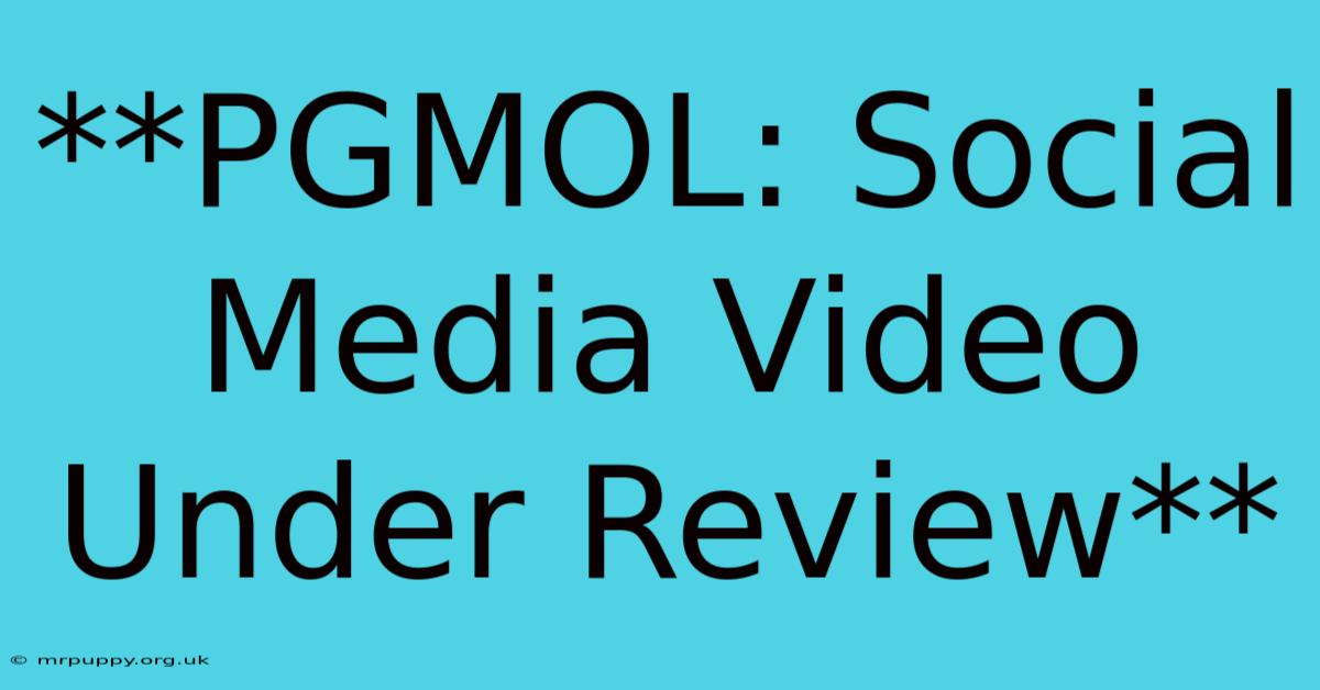 **PGMOL: Social Media Video Under Review** 