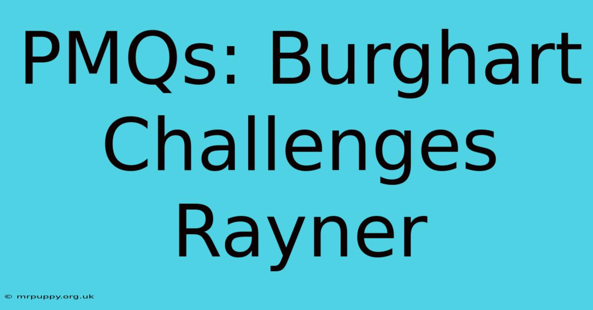 PMQs: Burghart Challenges Rayner