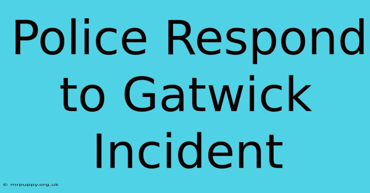 Police Respond To Gatwick Incident