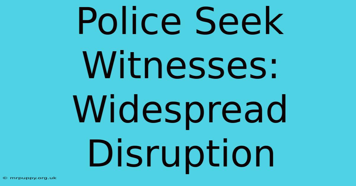 Police Seek Witnesses: Widespread Disruption