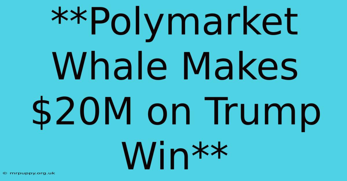 **Polymarket Whale Makes $20M On Trump Win**