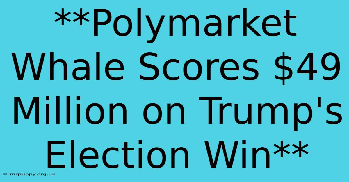 **Polymarket Whale Scores $49 Million On Trump's Election Win** 