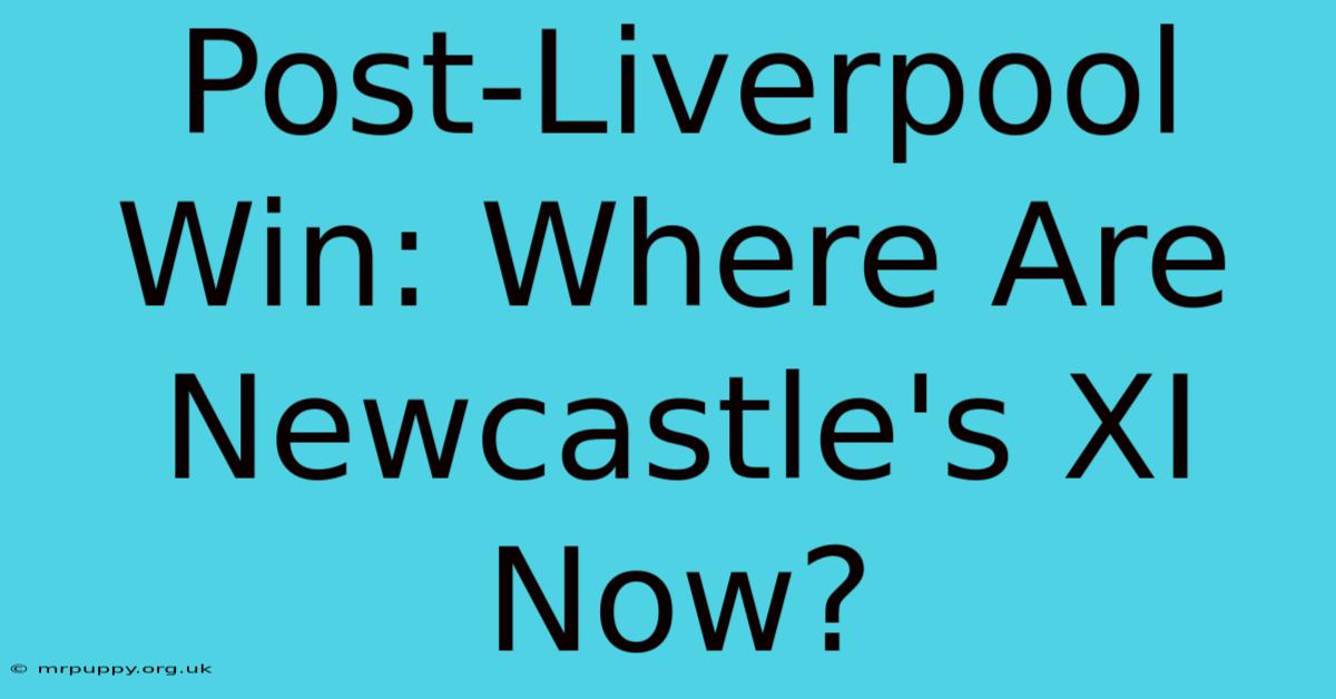 Post-Liverpool Win: Where Are Newcastle's XI Now?