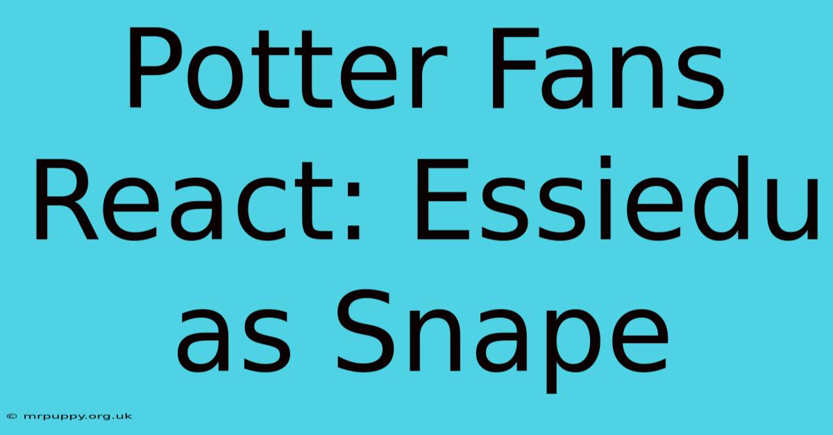 Potter Fans React: Essiedu As Snape