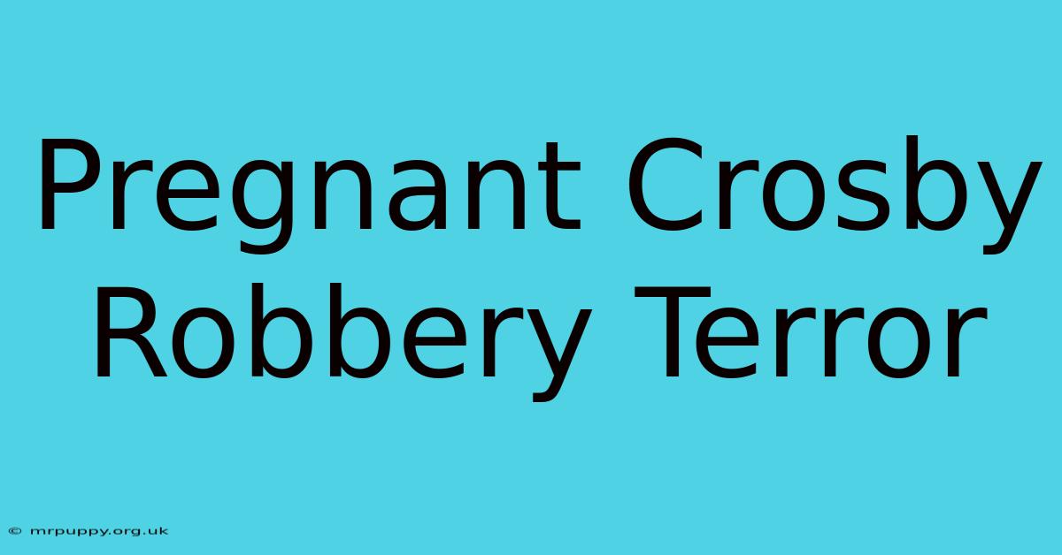 Pregnant Crosby Robbery Terror