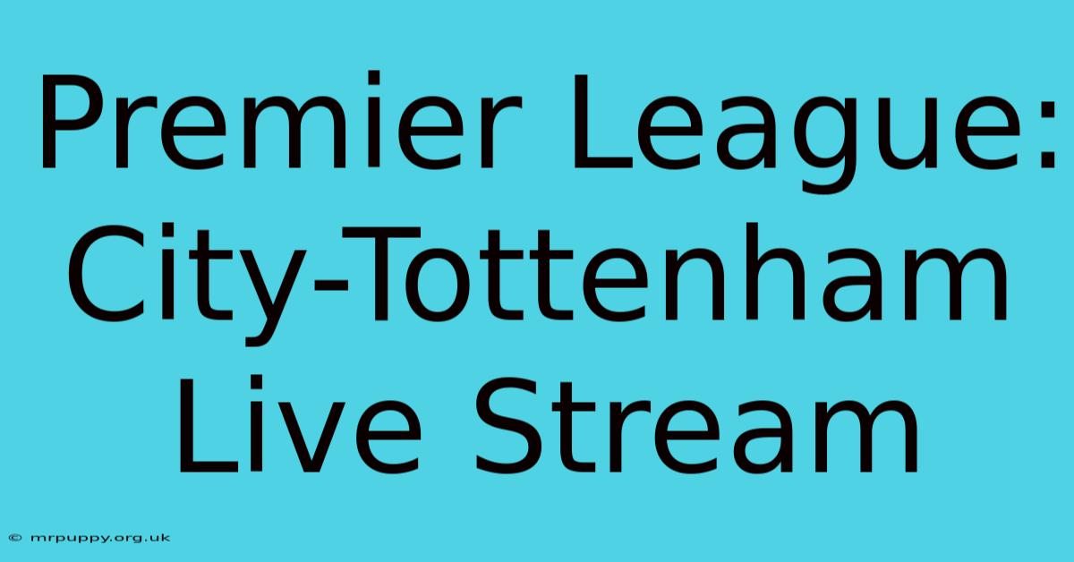 Premier League: City-Tottenham Live Stream