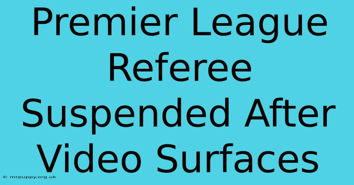 Premier League Referee Suspended After Video Surfaces