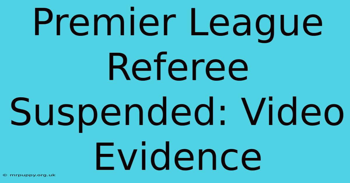 Premier League Referee Suspended: Video Evidence 